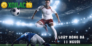 Luật bóng đá 11 người mới nhất và giải thích chi tiết từng luật